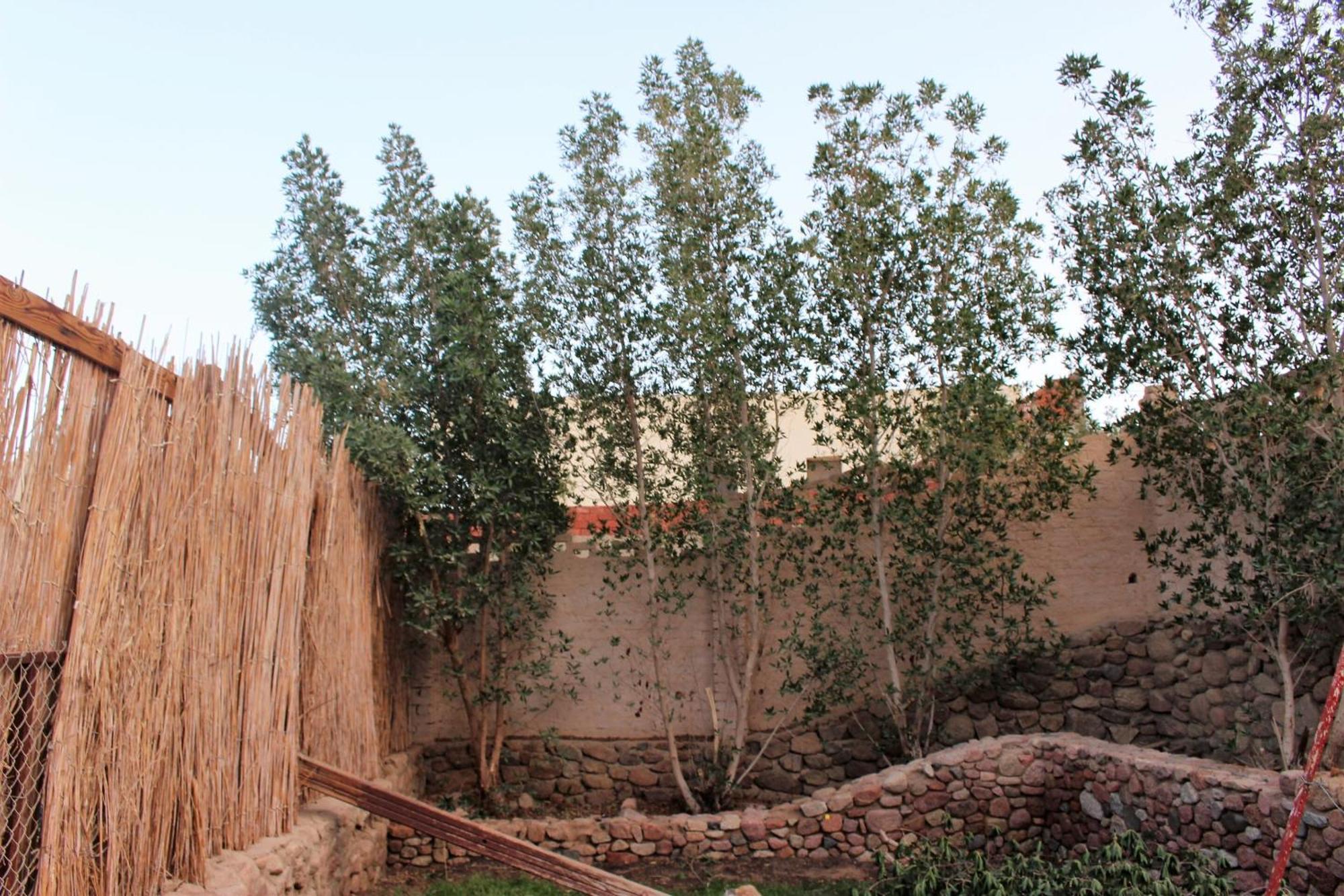 شرم الشيخ Sinai Old Spices B&B الغرفة الصورة
